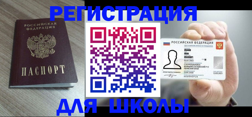 пропишу в квартире в Светлогорске